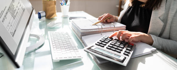 MALİ MÜŞAVİRLİK HİZMETLERİ 